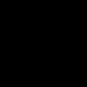 Meet your Posher, Alessa